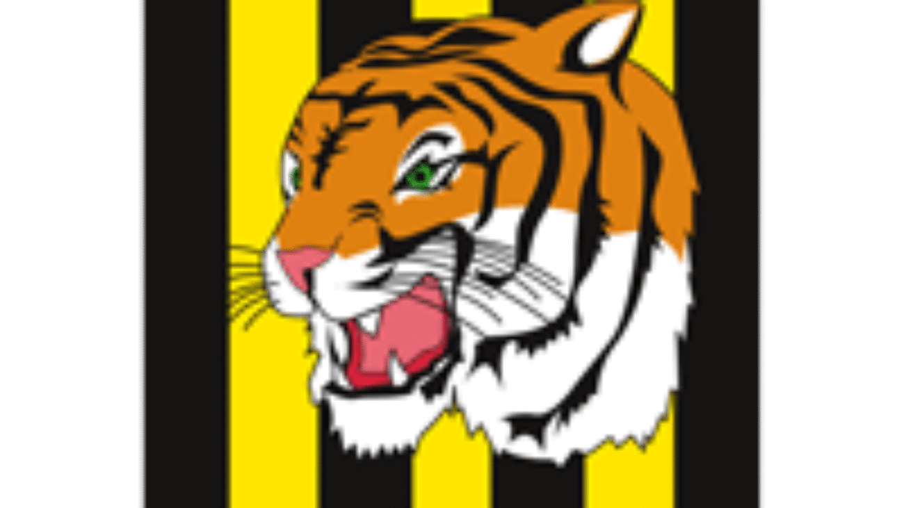 Club The Strongest crest