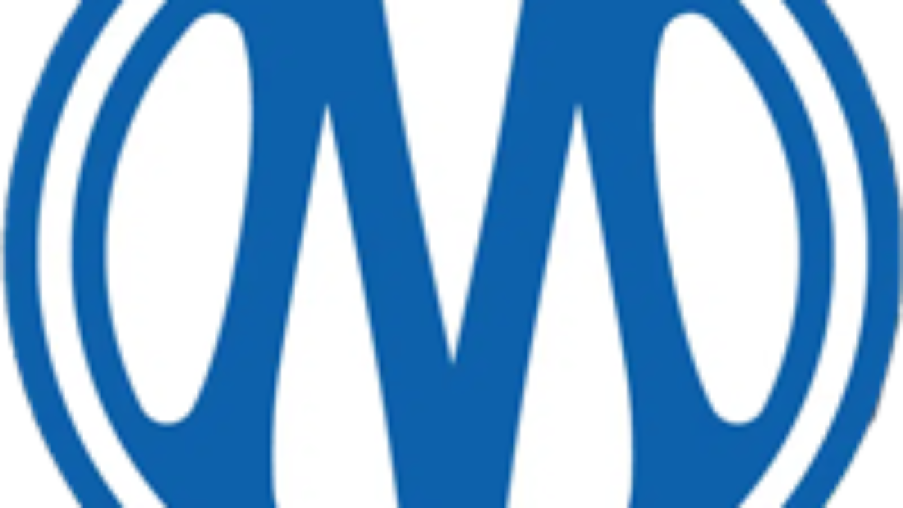 Olympique de Marseille crest